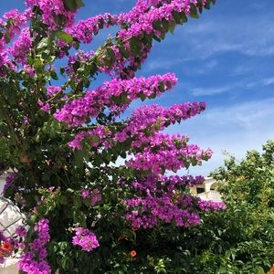 Meet your Posher, Gabby